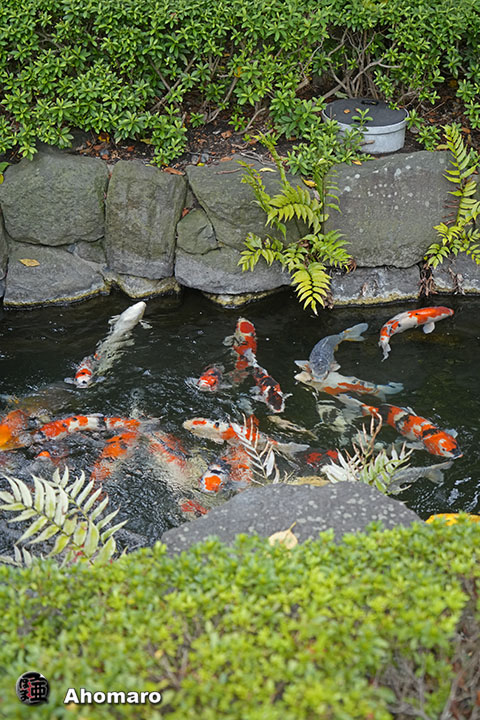 写真00