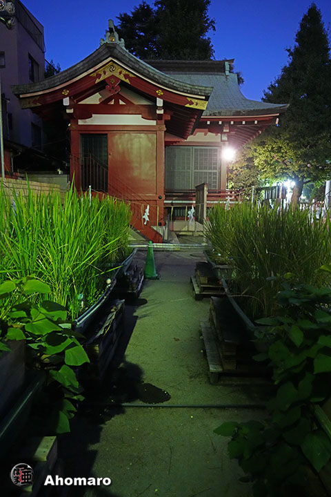 写真00