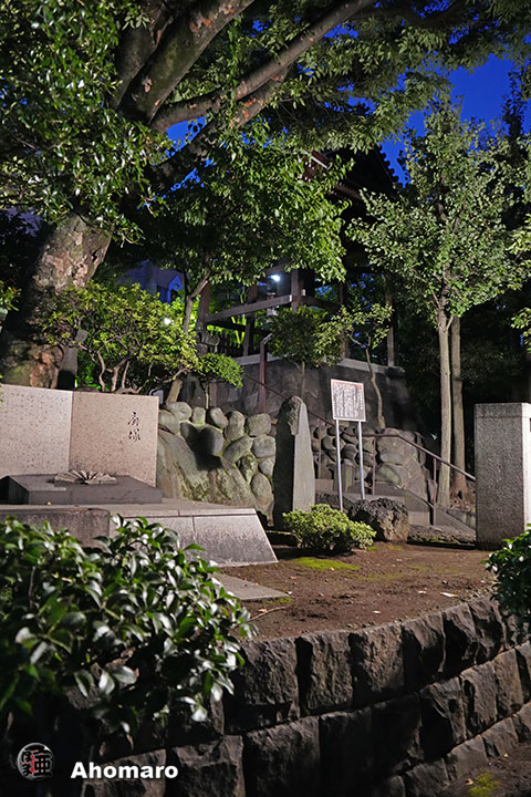 写真00