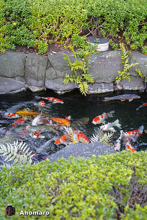 写真00