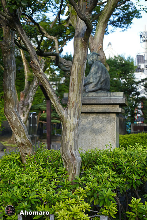 写真00