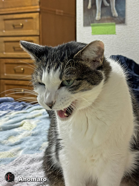 ʐ^00