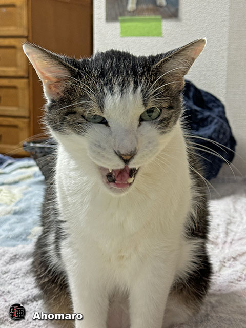 ʐ^00