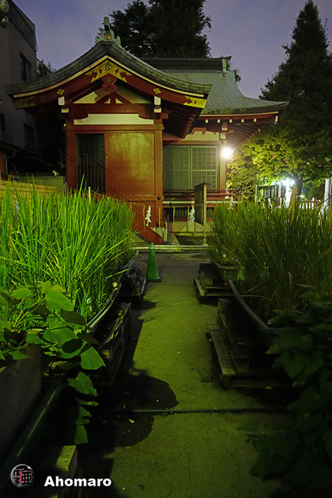 写真00