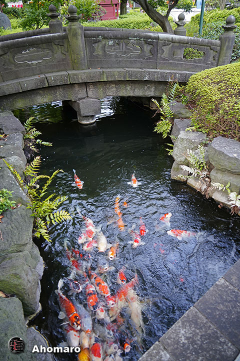 写真00