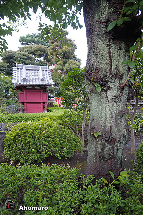 写真00