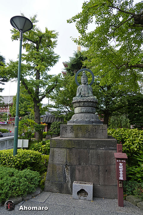 写真00