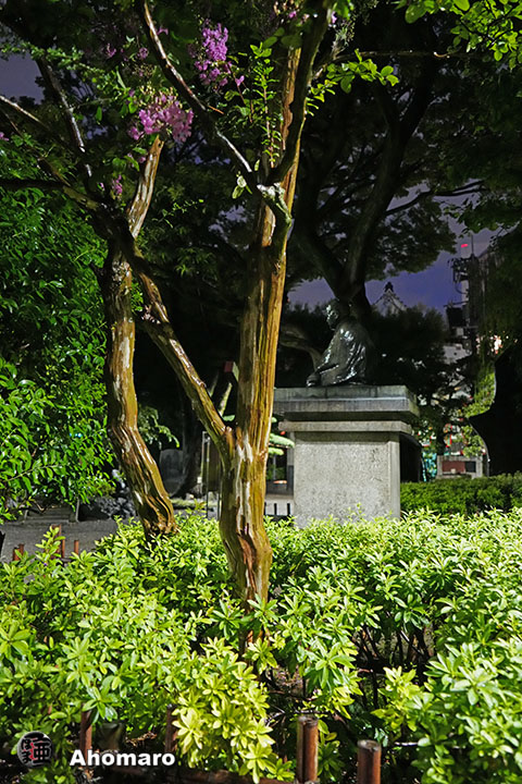写真00