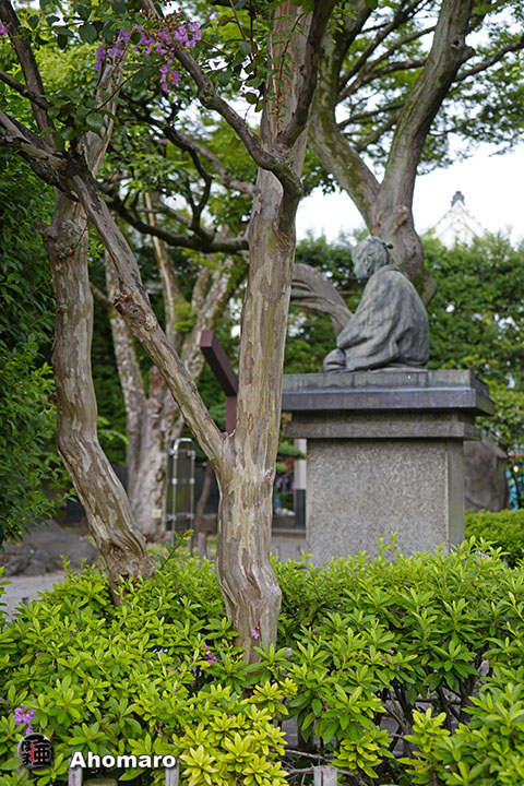 写真00