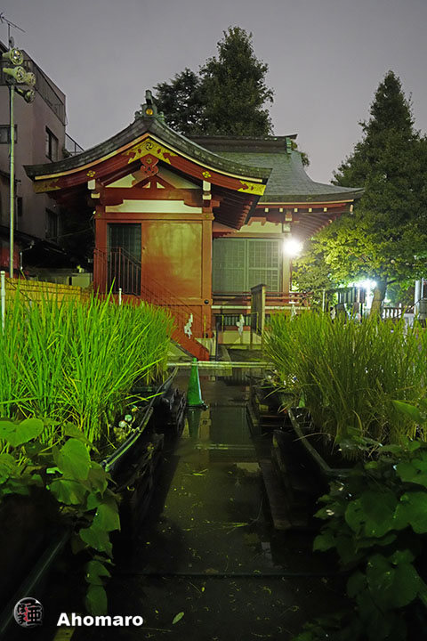 写真00