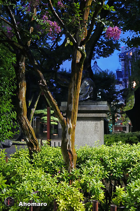 写真00