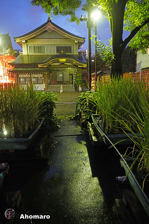 写真00