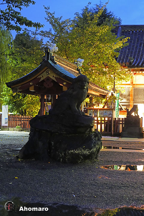 写真00