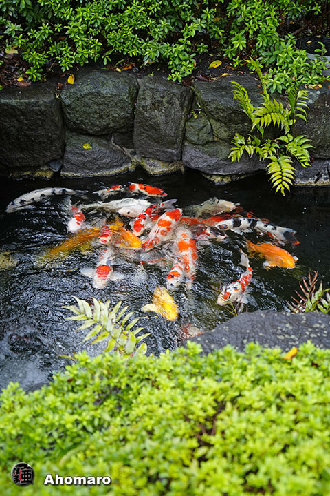 写真00
