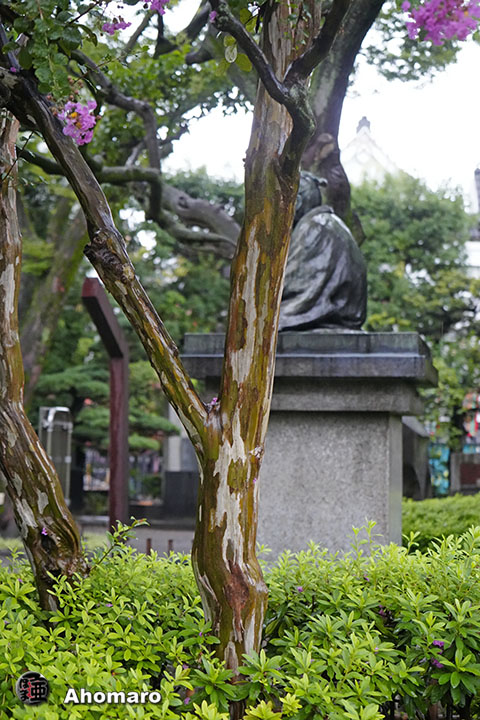写真00