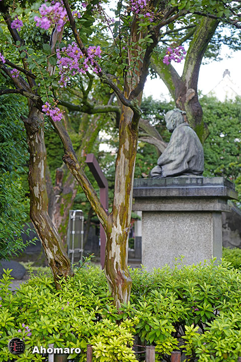 写真00