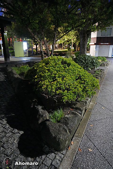 写真00