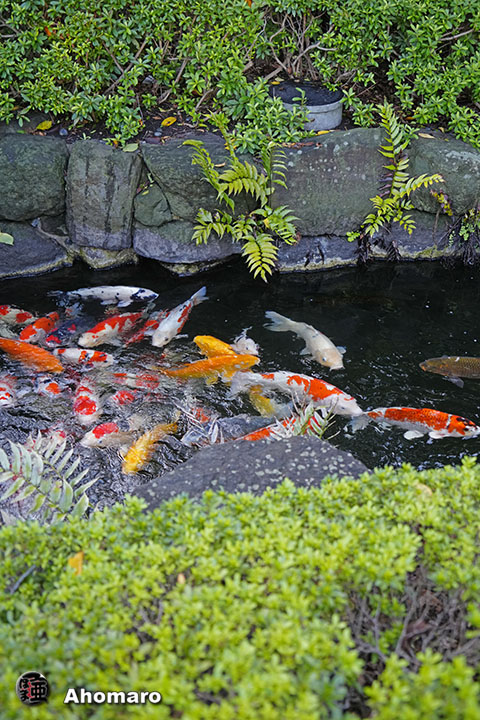 写真00