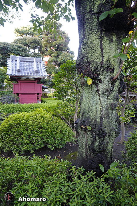 写真00