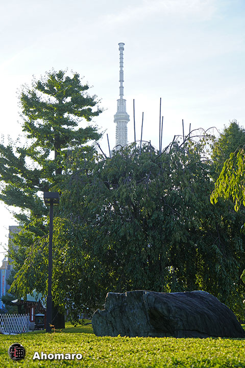 写真00