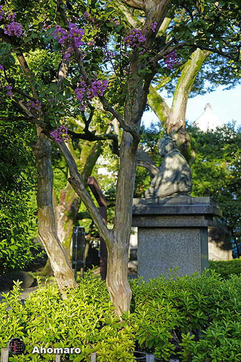 写真00