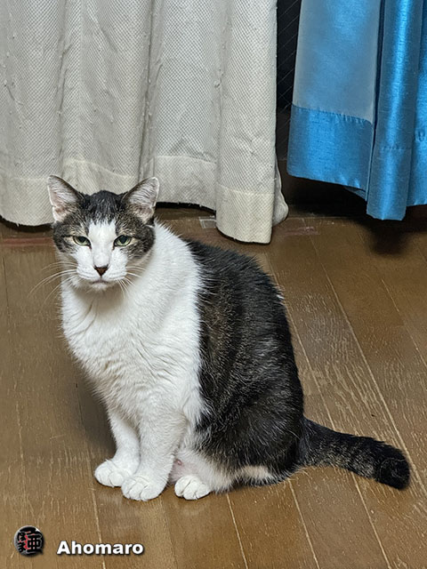 ʐ^00