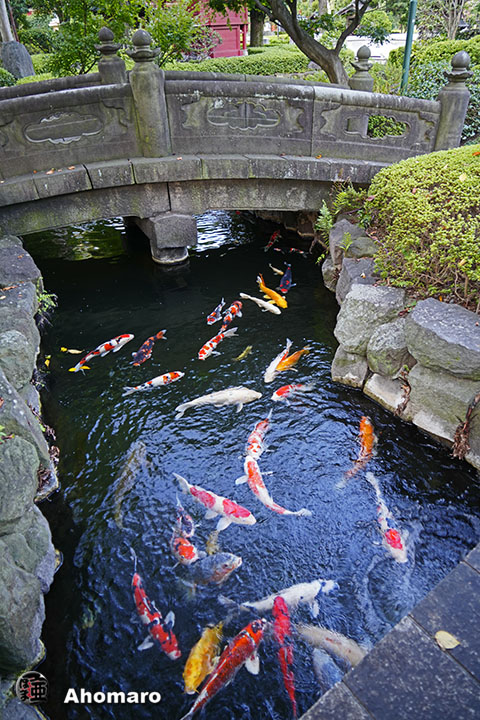 写真00