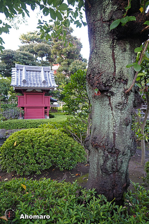 写真00
