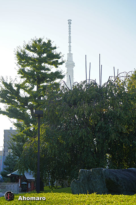 写真00