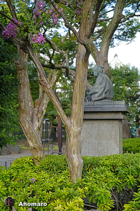 写真00