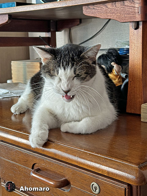 ʐ^00