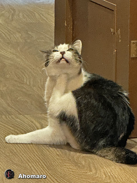 ʐ^00