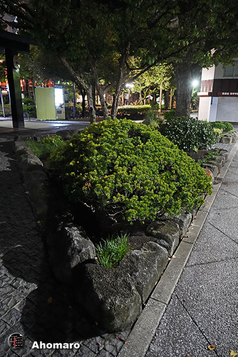 写真00