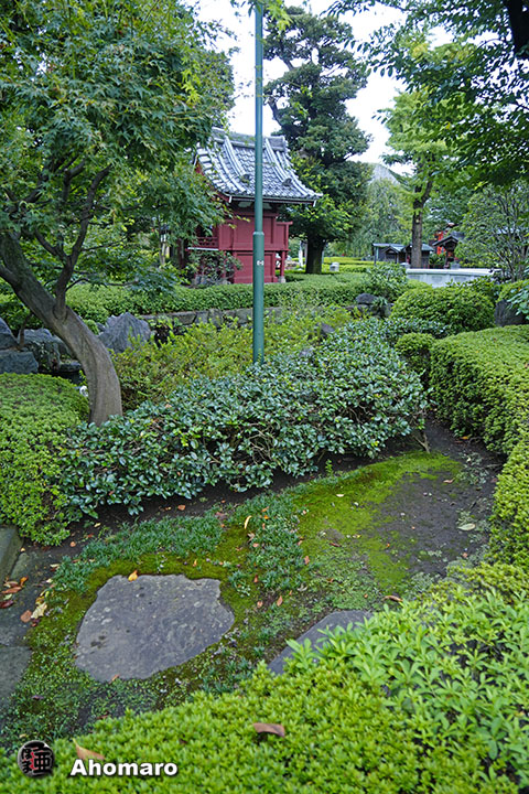 写真00
