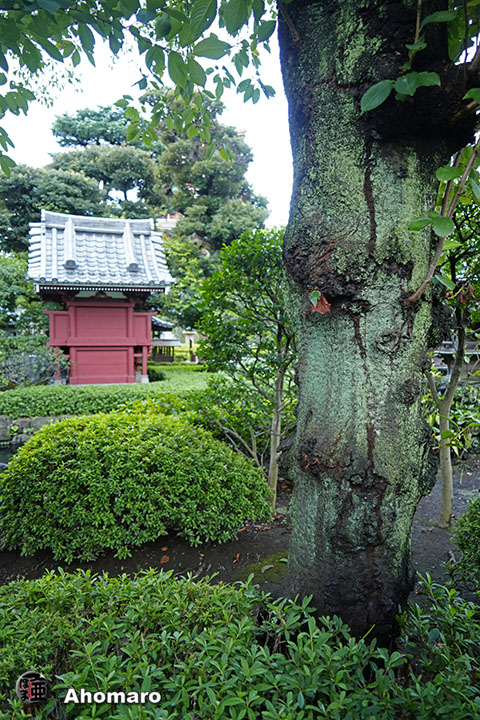 写真00