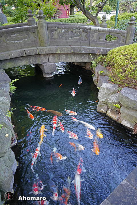 写真00