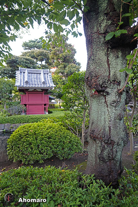写真00