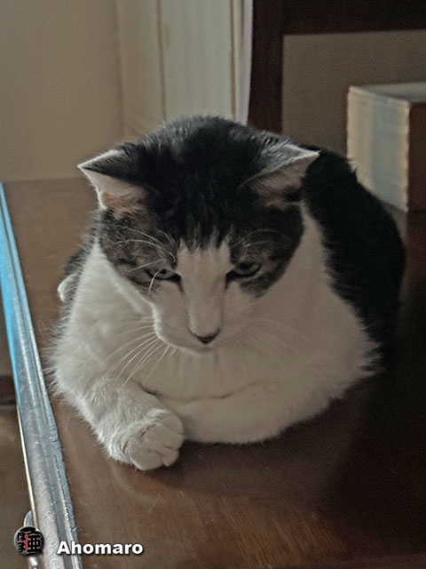 ʐ^00