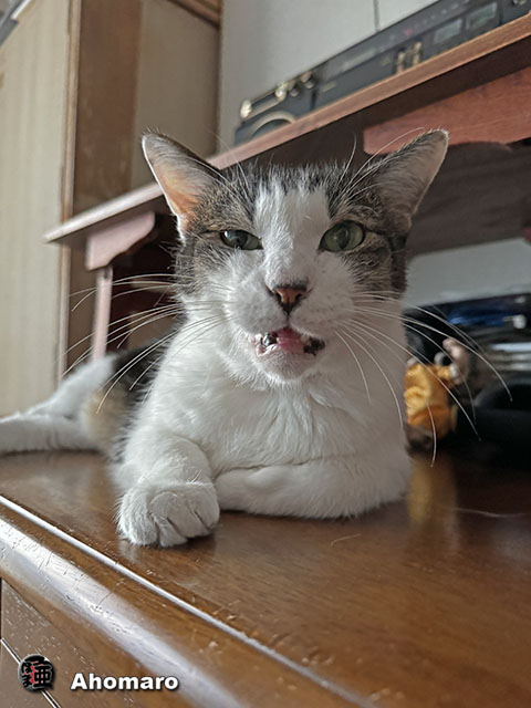 ʐ^00