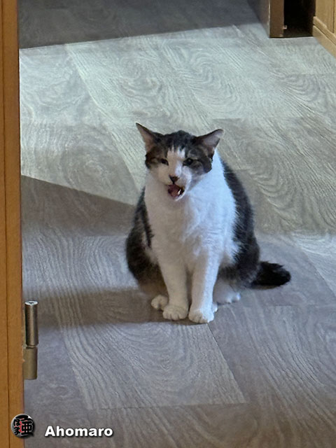 ʐ^00