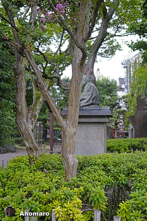 写真00