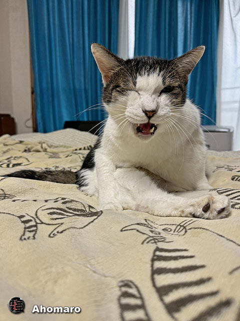 ʐ^00