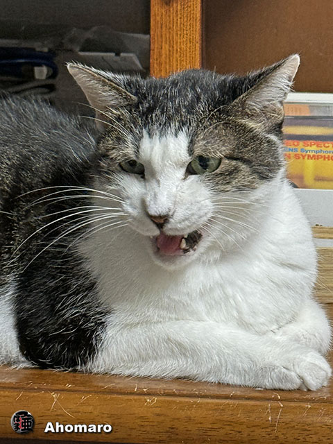ʐ^00