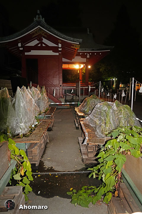 写真00