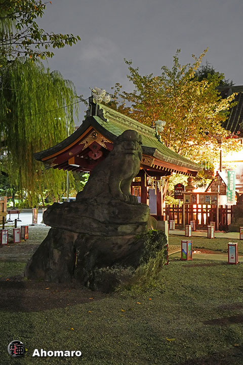 写真00