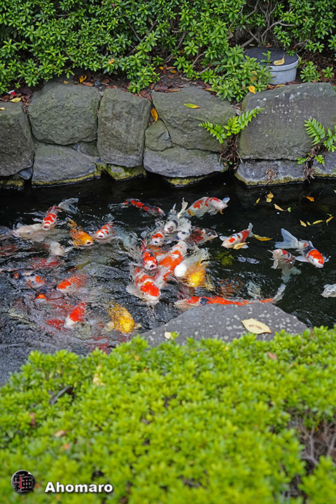 写真00