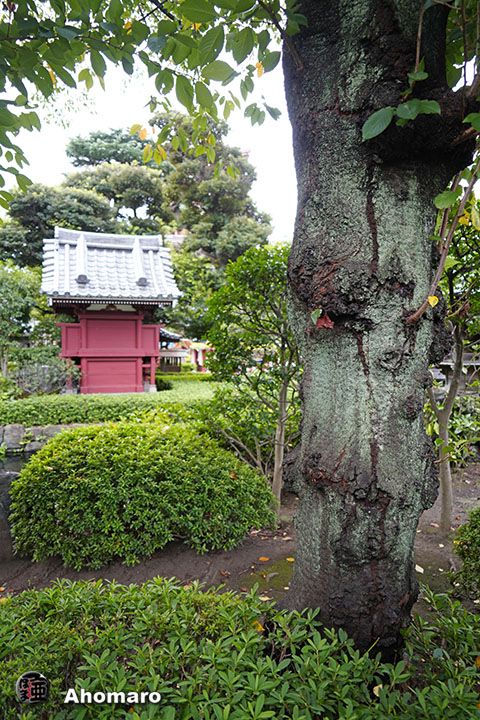 写真00
