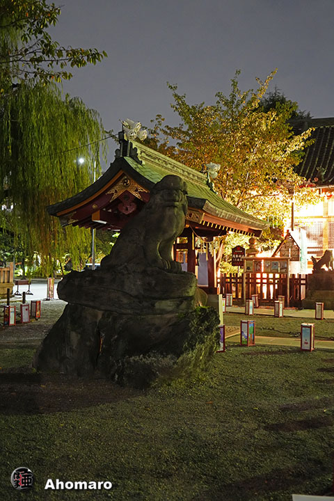 写真00