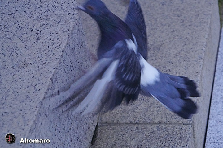 ʐ^00