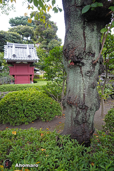 写真00